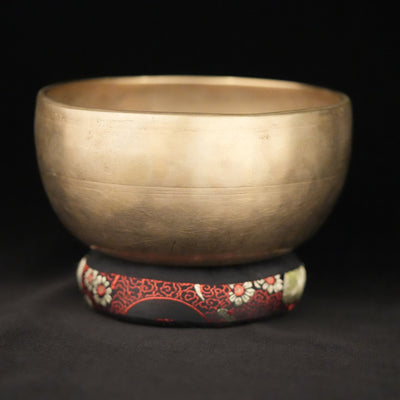 7" Antique Singing Bowl in D#