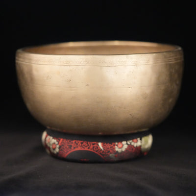 7.75" Antique Singing Bowl in E